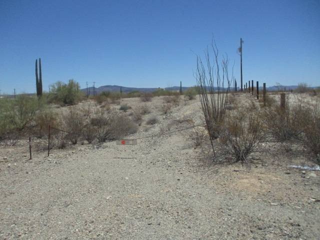 Picture 5