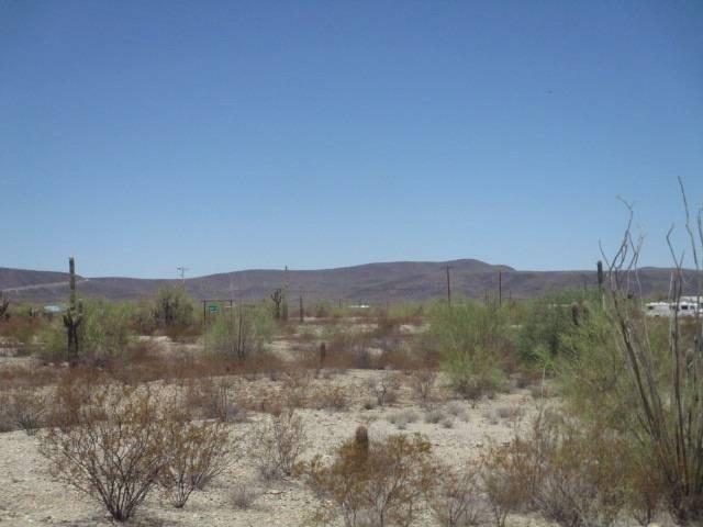 Picture 4