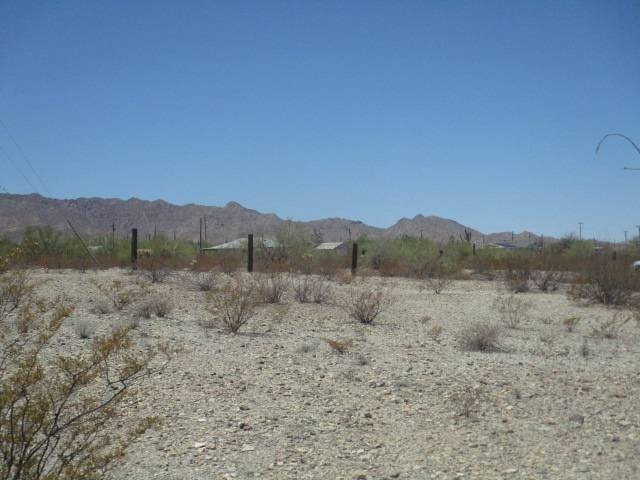 Picture 3