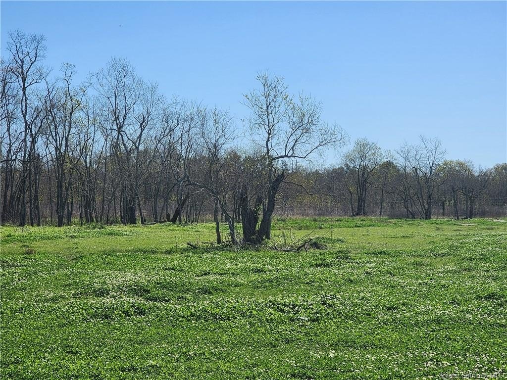 Picture 25