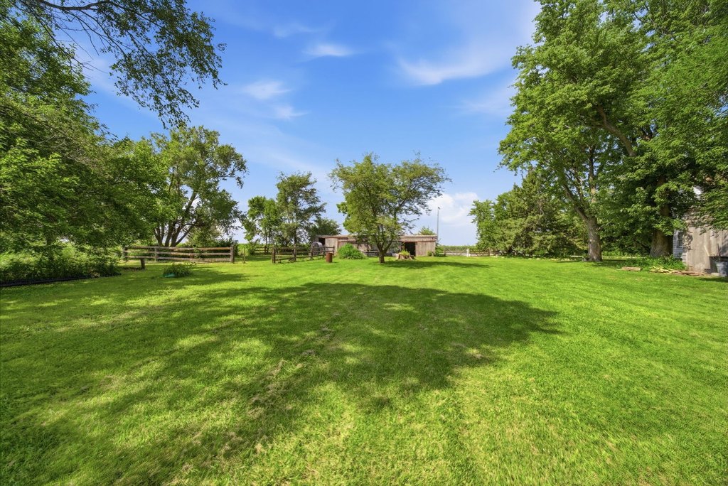 Picture 16