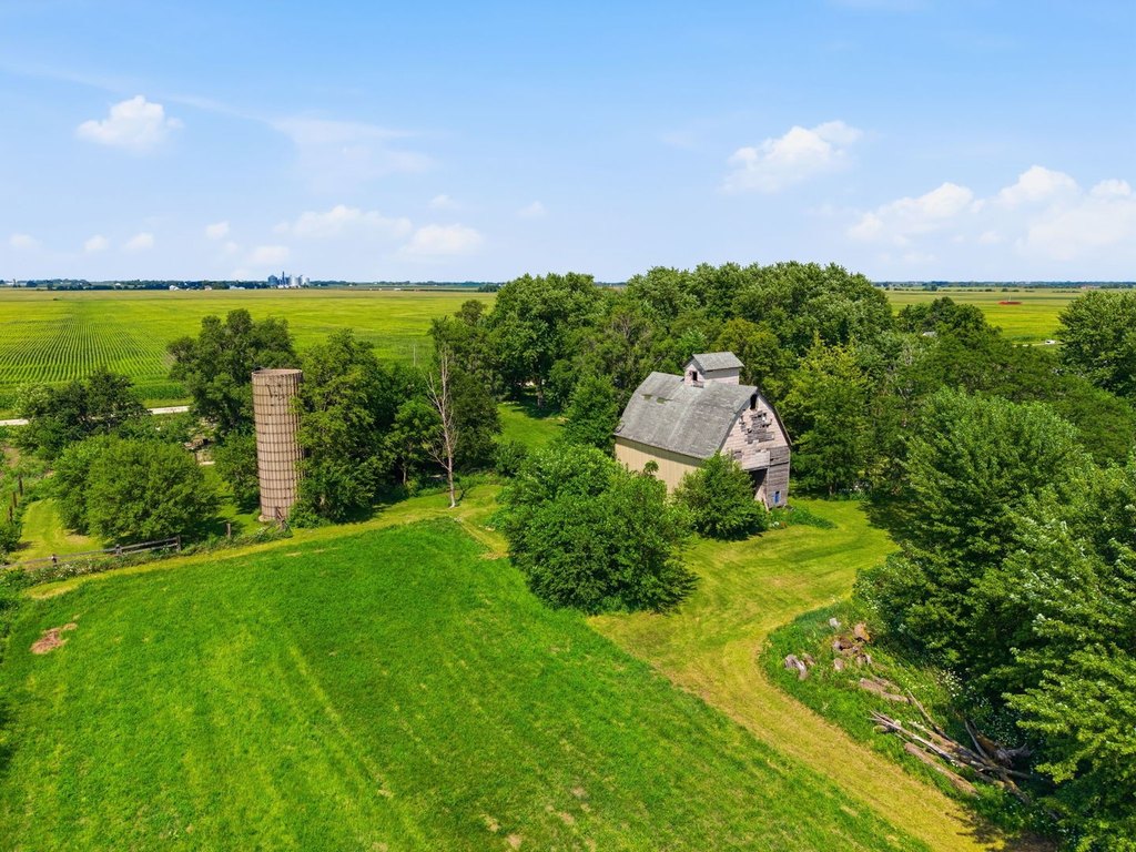 Picture 8