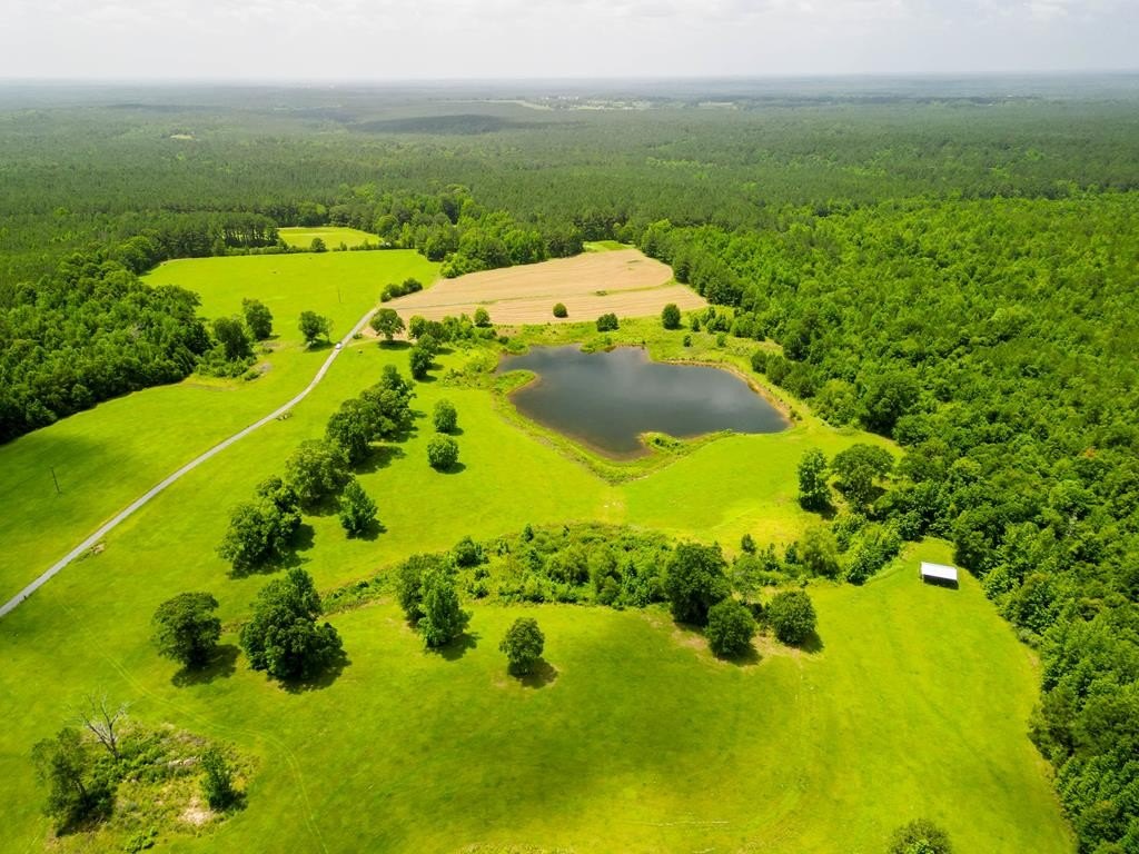 66 Acres in Waynesboro