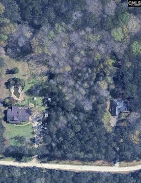 LOTS AND ACREAGE, Chapin, SC