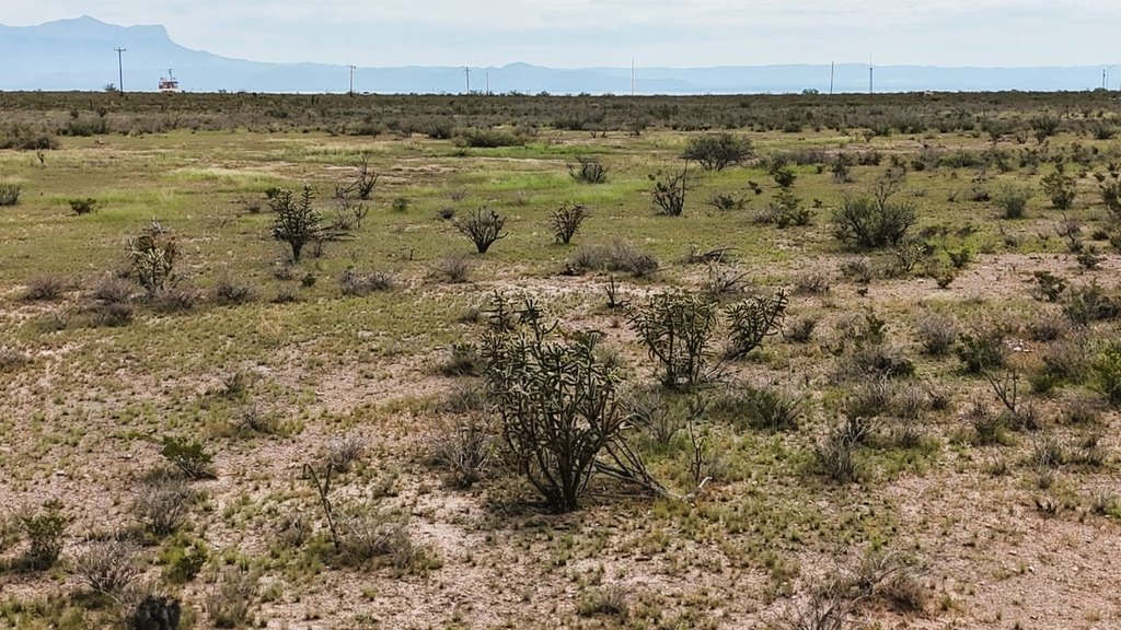 Picture 30