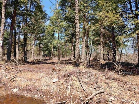 Recreational Wilderness Land Parcel
