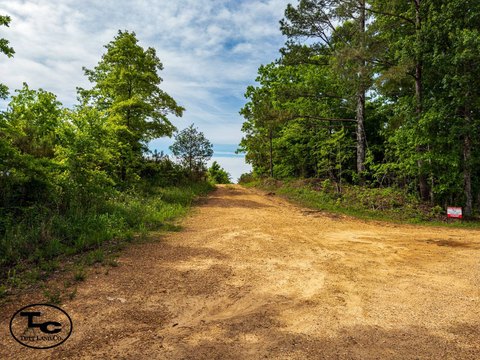 Recreational Timber Land Tract