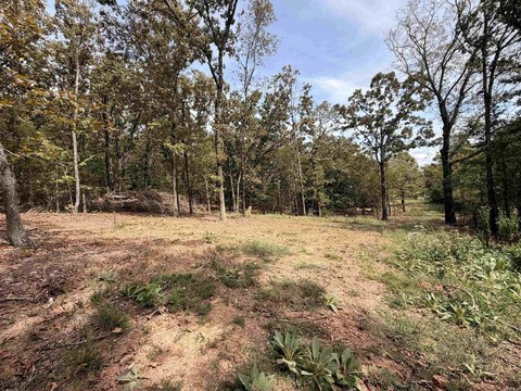 Vacant Land, North Little Rock, AR