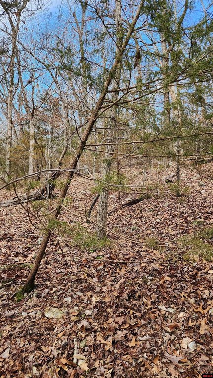 Picture 13