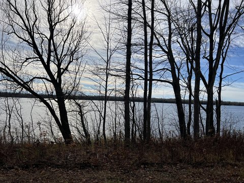 42.85 Acres on Paradise Lake