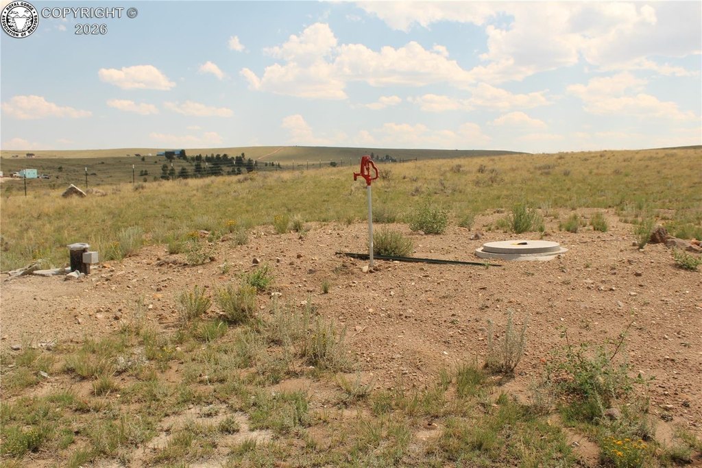 Picture 15