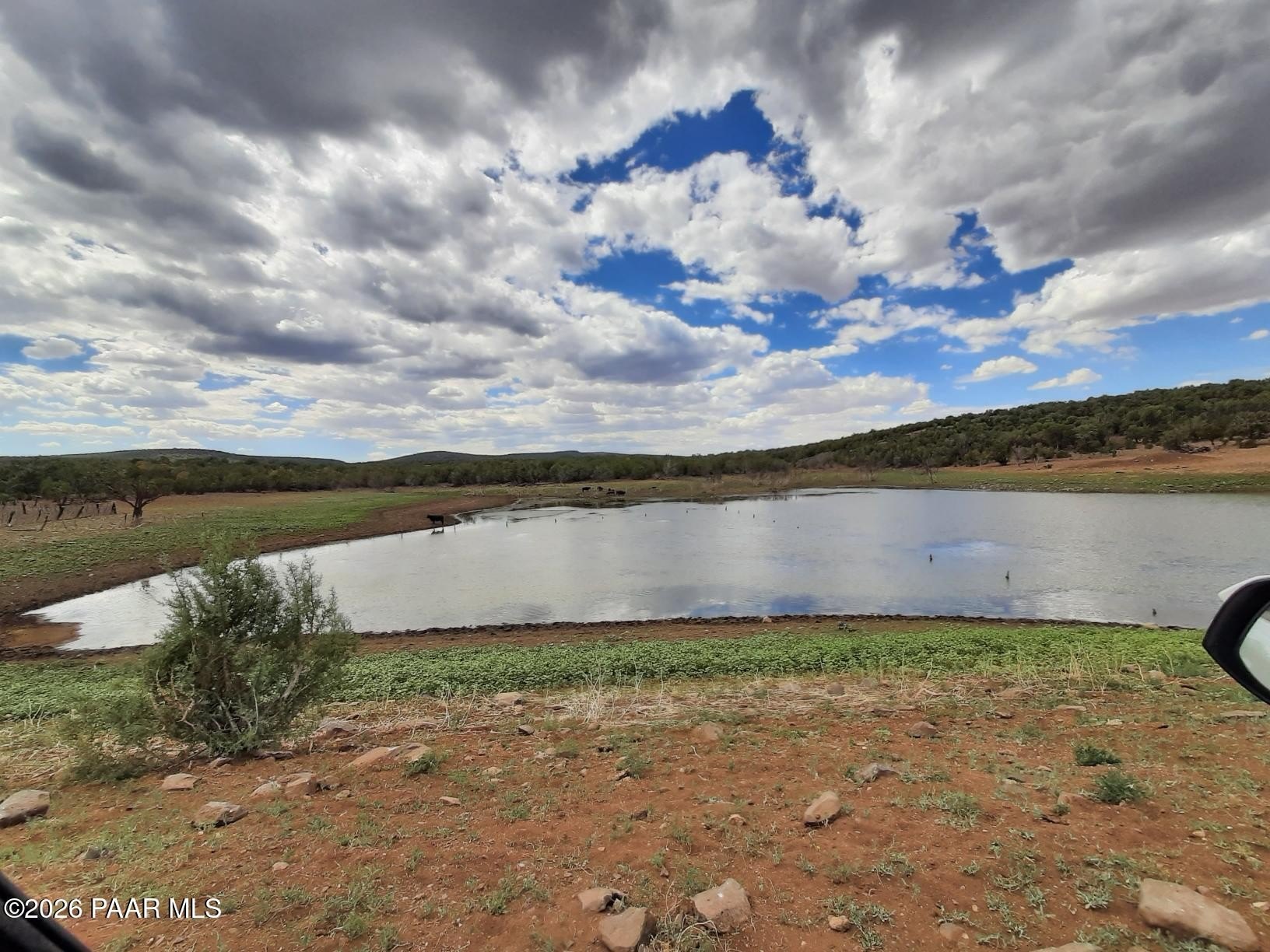 37.5 Acres of Rural Land