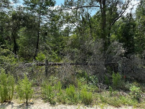 Rural Residential Homesite Land