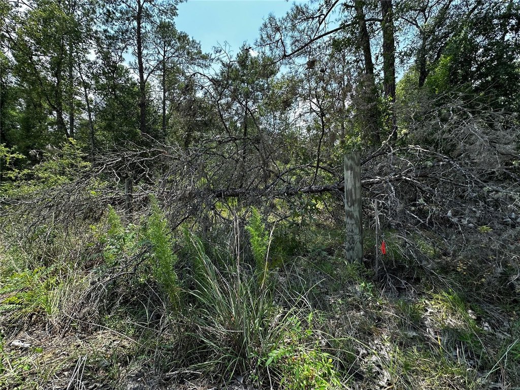 Picture 12