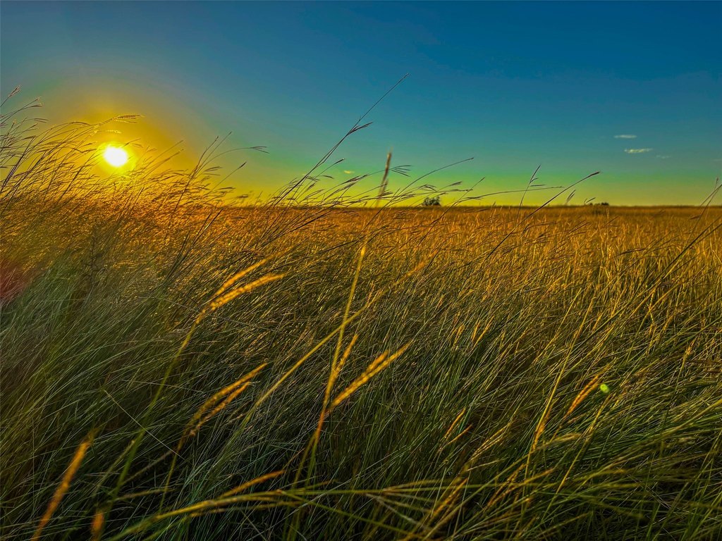 Picture 39