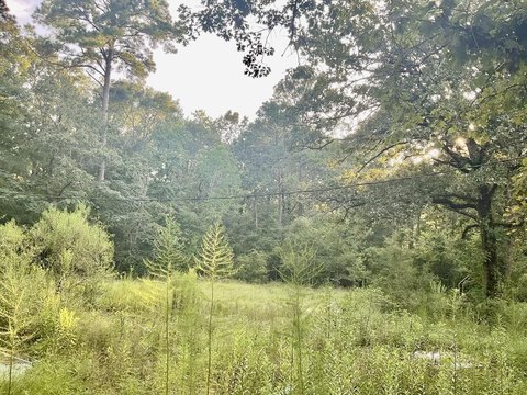 LAND - Huntington, TX
