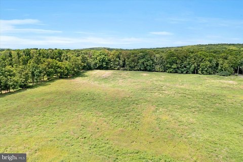 Warriors Mark Land For Sale