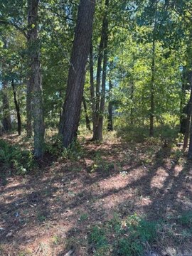 Vacant Land, Monticello, AR