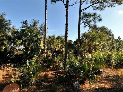 Residential Land in Growing Area