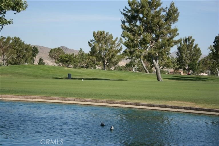 Picture 10