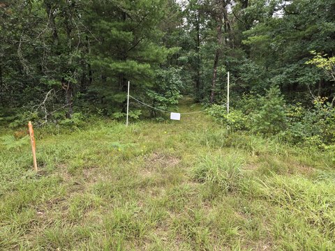 Land Near Sanborn Creek
