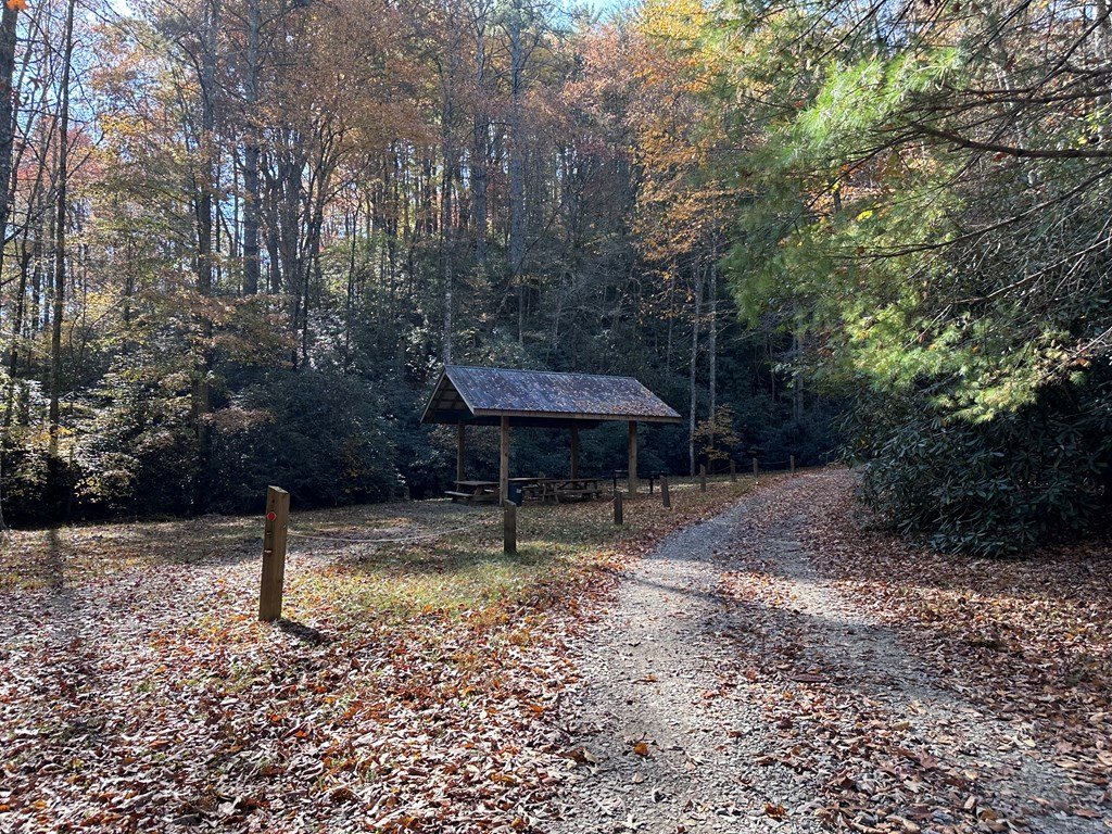 Picture 29