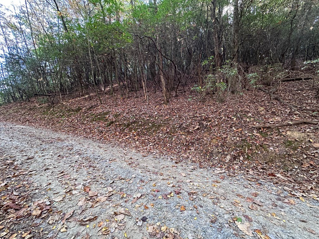 Picture 19