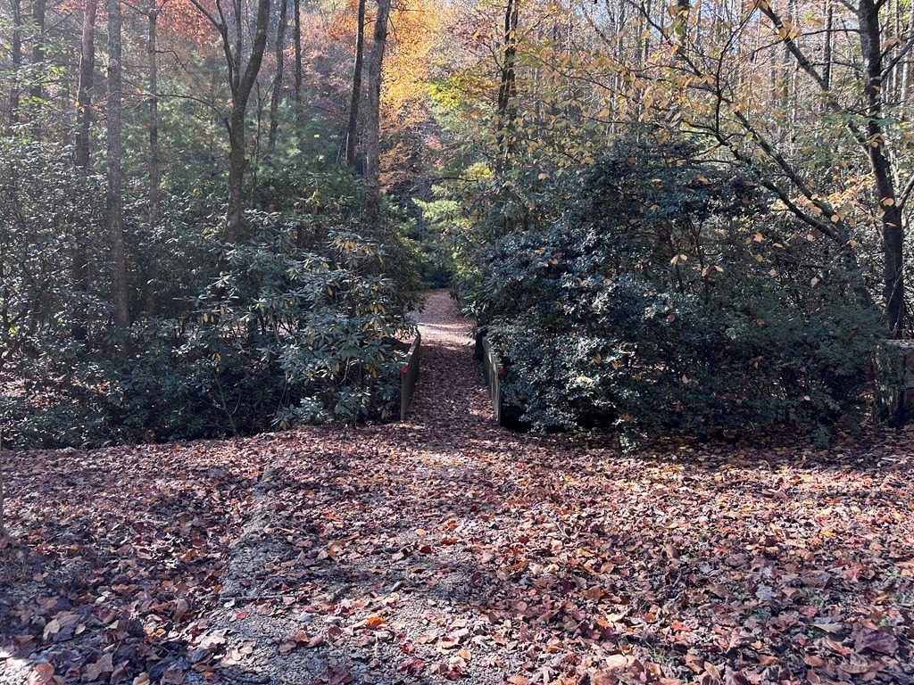Picture 28
