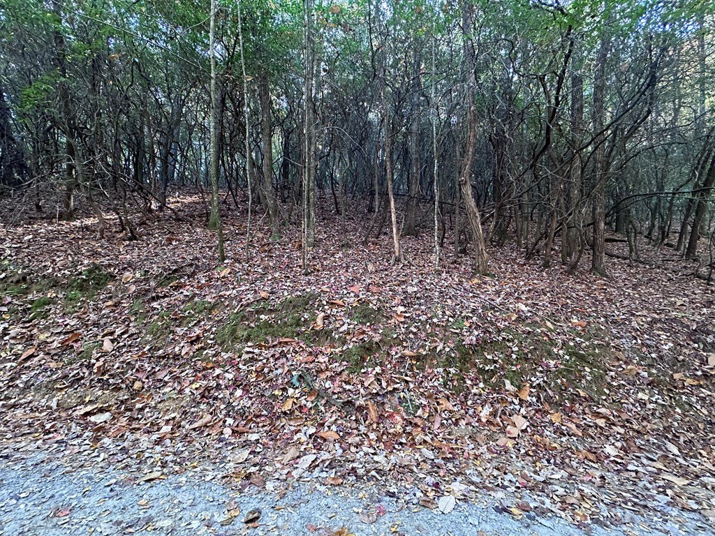 Picture 18
