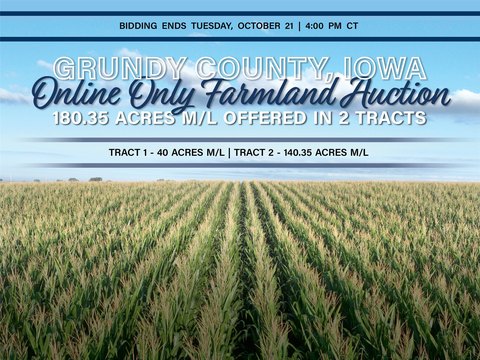 Productive Farmland Auction in Iowa