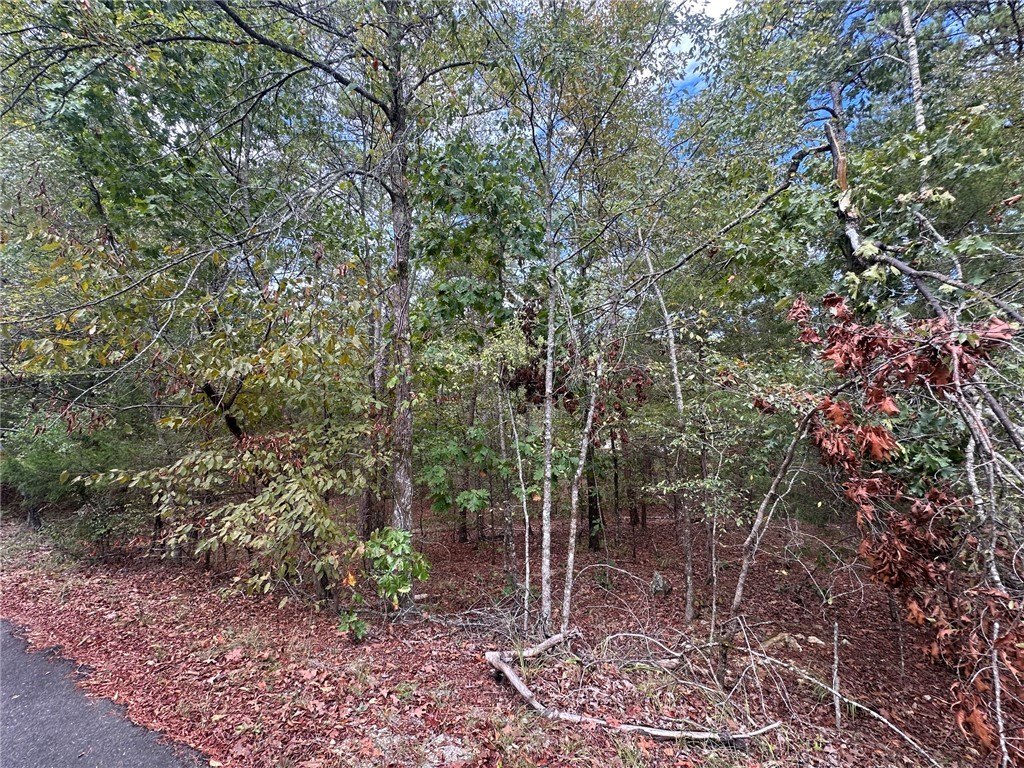 Picture 4
