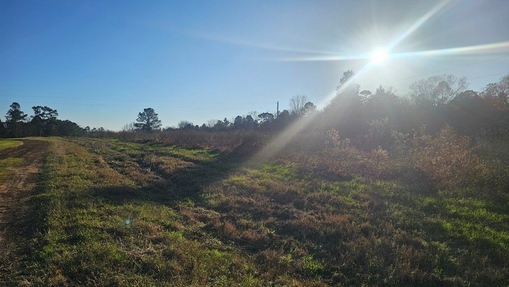 Picture 6