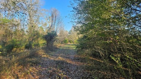 16.39 Acres Near Lake Naconiche