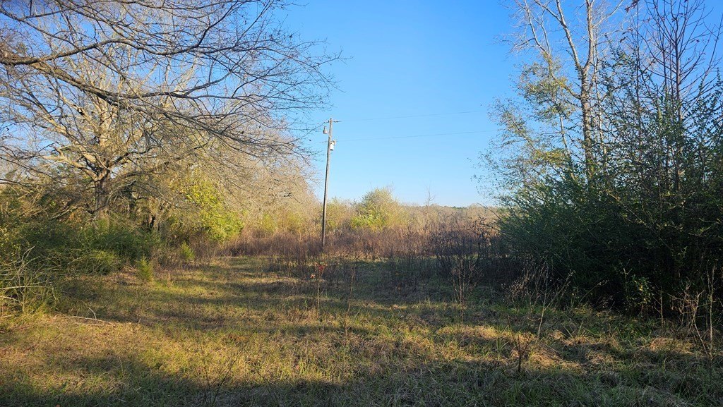 Picture 10