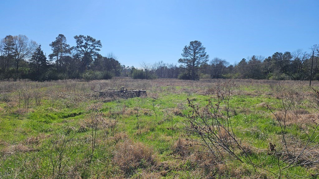 Picture 3
