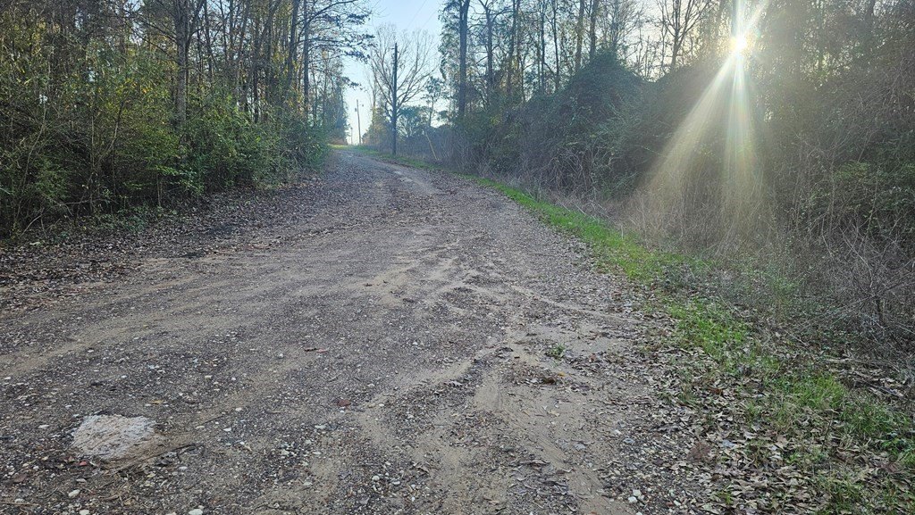 Picture 13