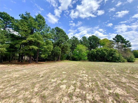 Acreage Lot with Road Frontage