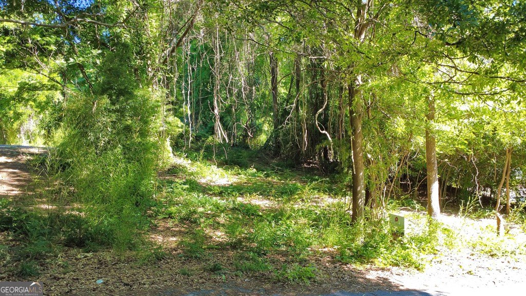 Picture 5