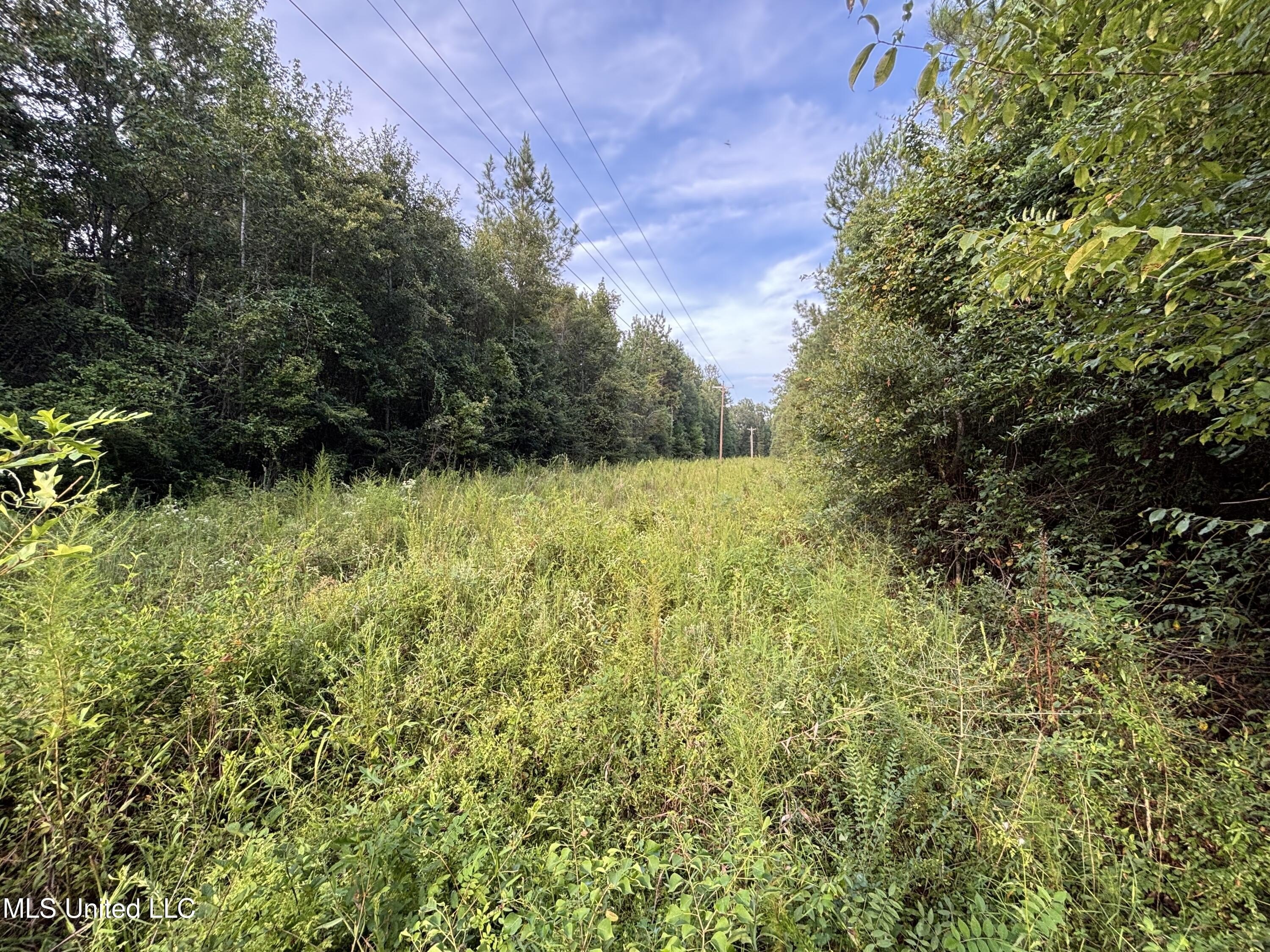 Ellisville Timber and Recreational Tract
