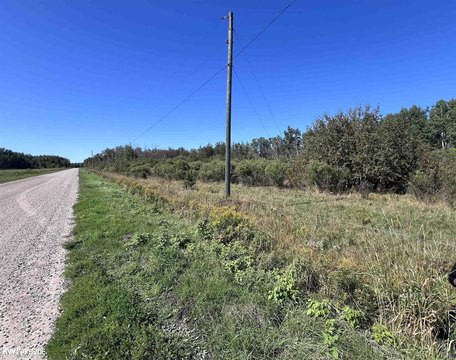 40-Acre Hunting Land