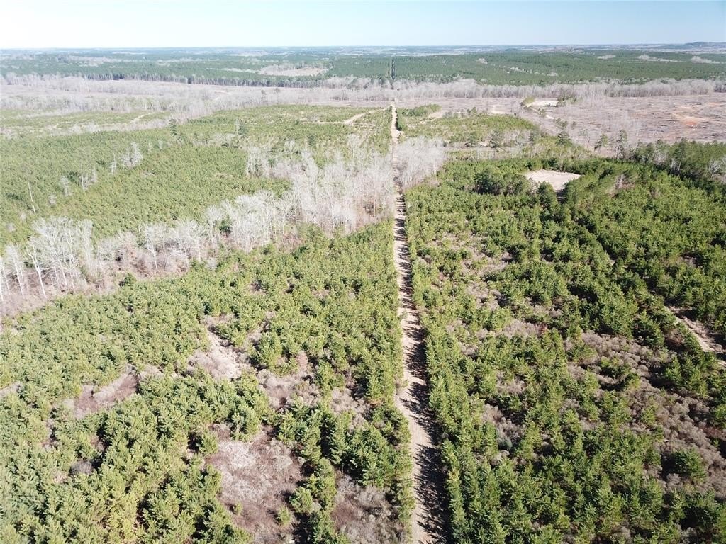 80 Acres Timberland in Gibsland