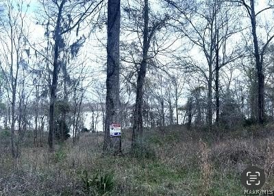 Waterfront Land on Lake Dannelly