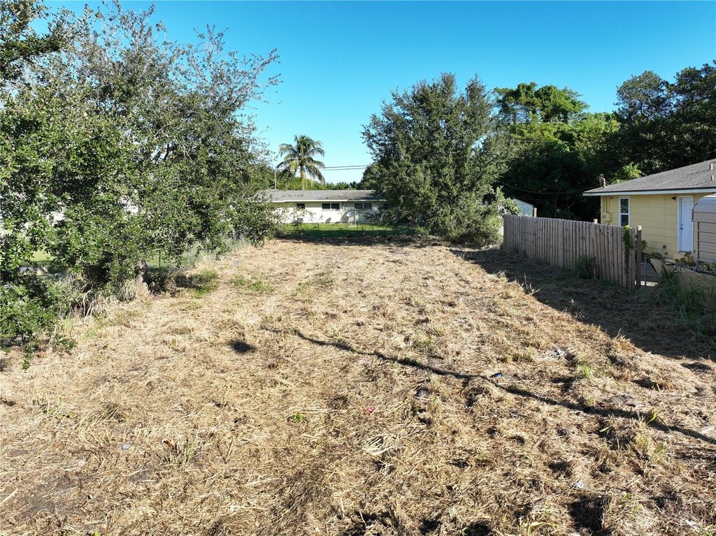 Picture 8
