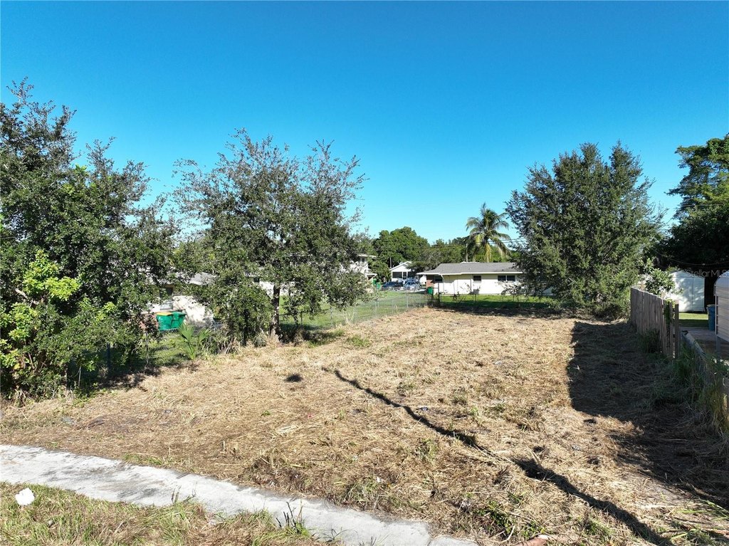 Picture 5