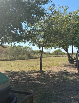 Land, Joshua, TX