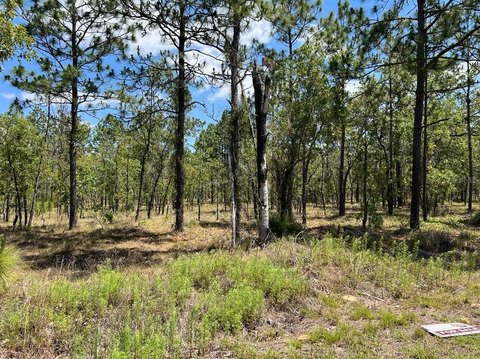 Wooded Residential Lot
