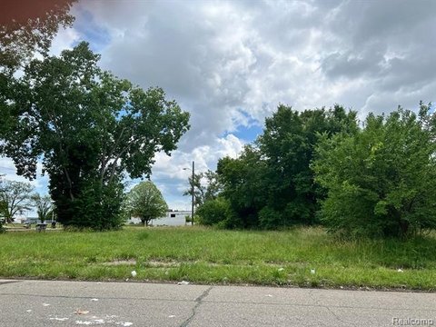 Detroit Land Build Opportunity