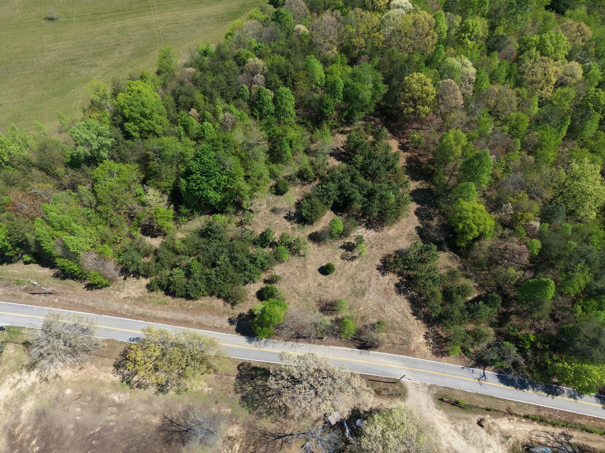 Unrestricted Land in Sale Creek