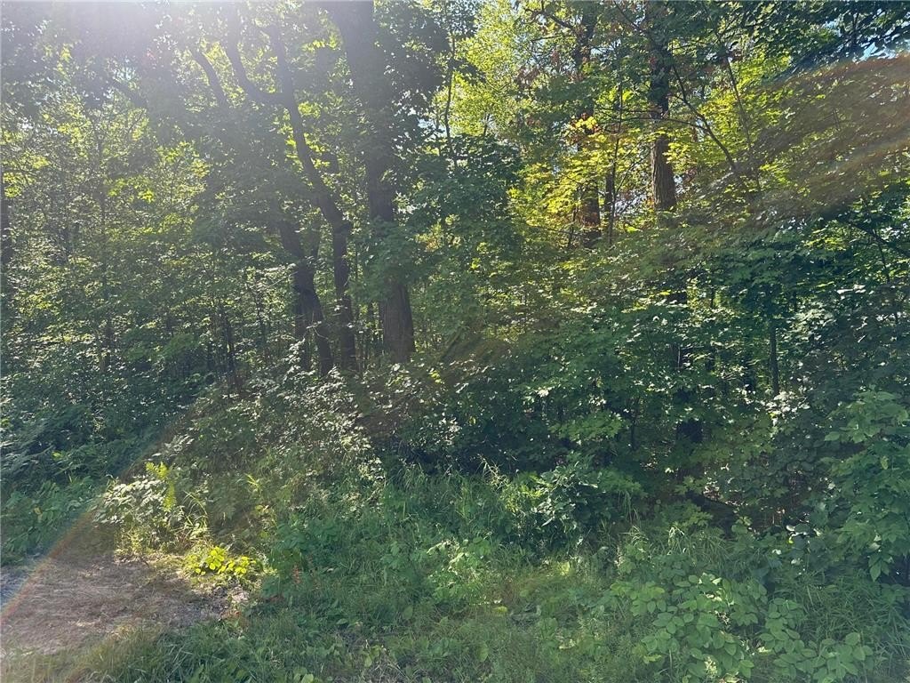 Picture 16