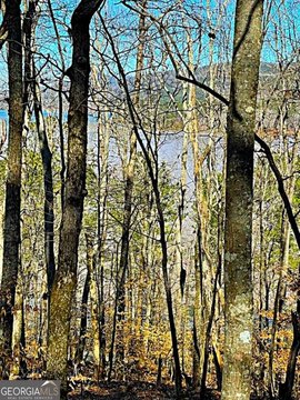 LAND - Chatsworth, GA